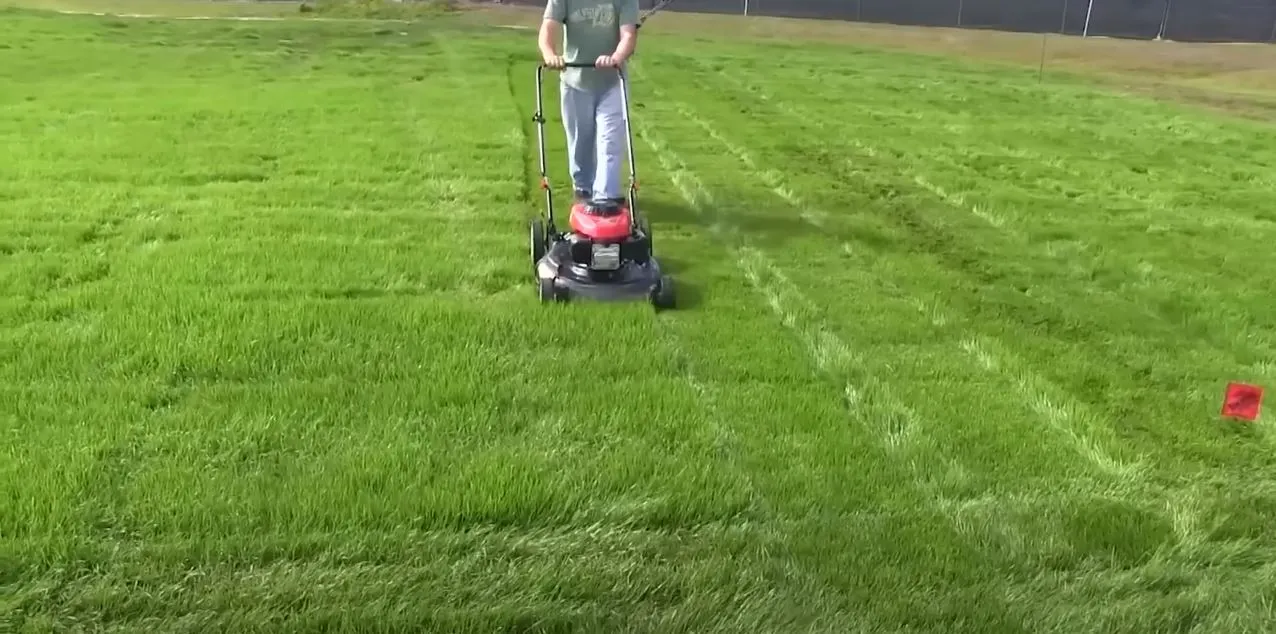 How Many Hours Does A Lawn Mower Last (2023)