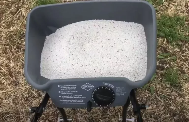 Perfect STA Green Spreader Settings? (Explained)