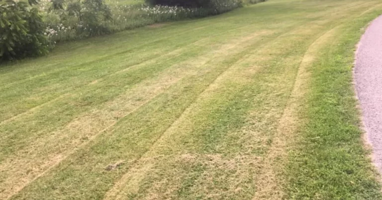 Why is My Bad Boy Mower Cutting Uneven? (Fix It Now)